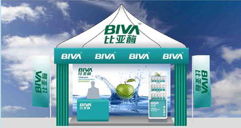 比亚酶的品牌形象构建 从标志设计到广告投放